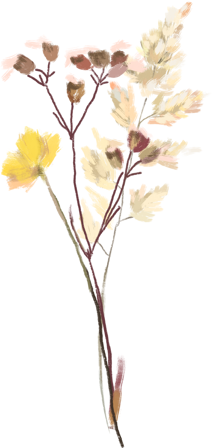 Dried Flower Branches 