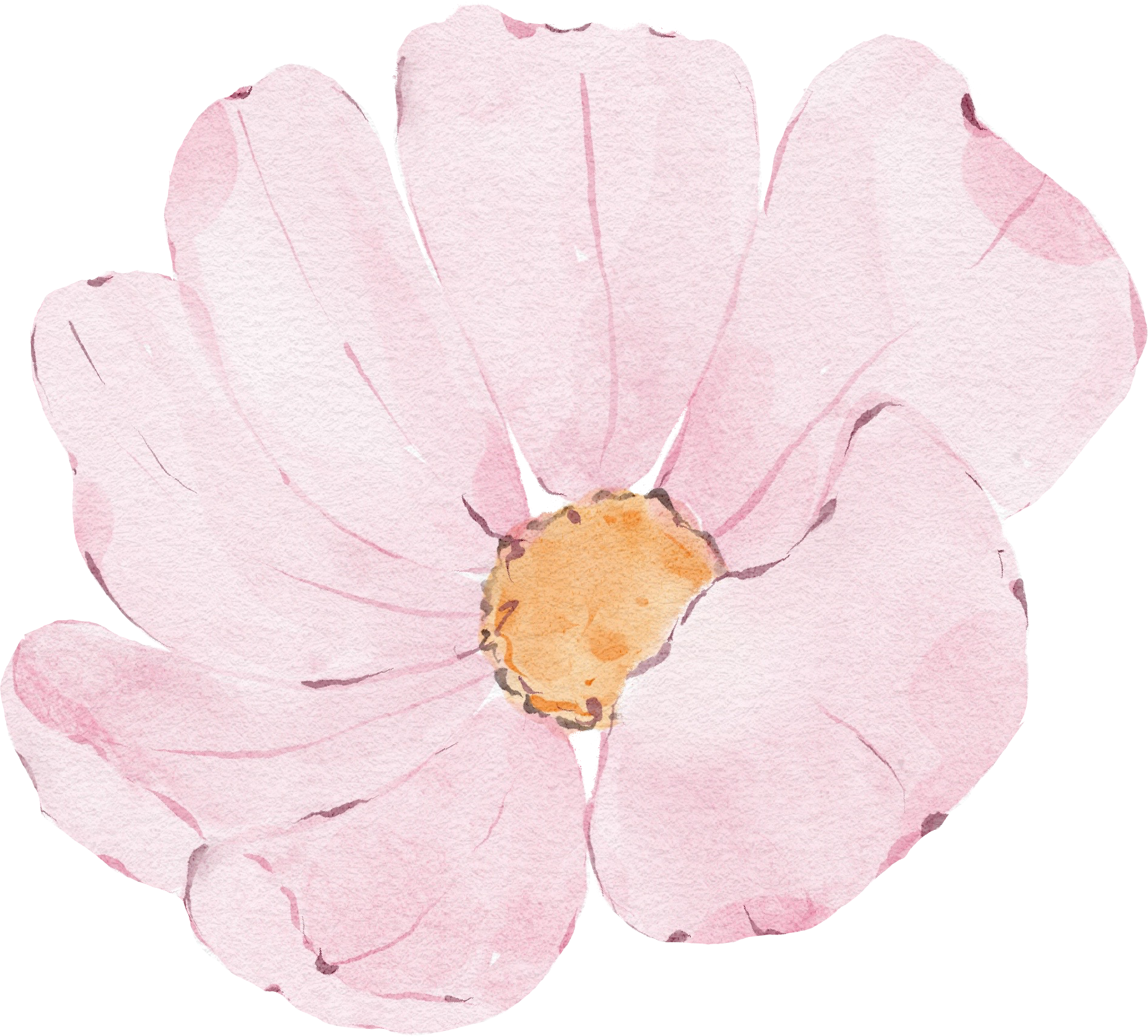 Watercolor pink flower